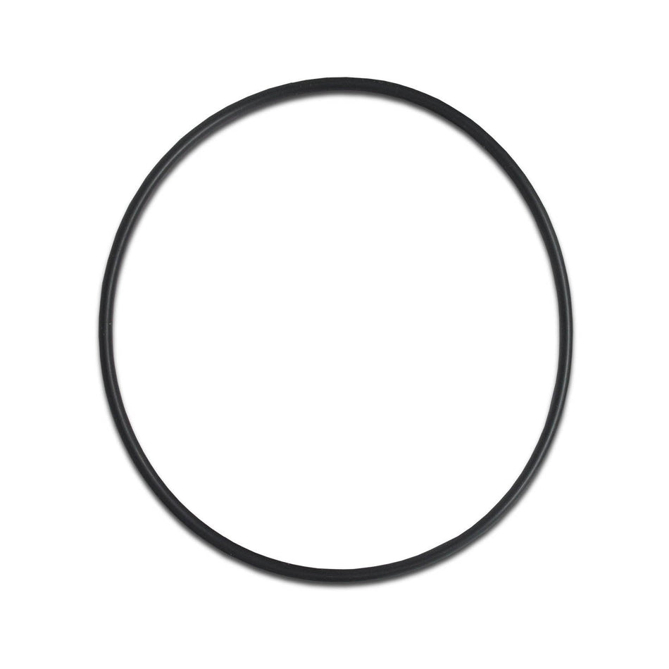 Big Blue Sump O-Ring