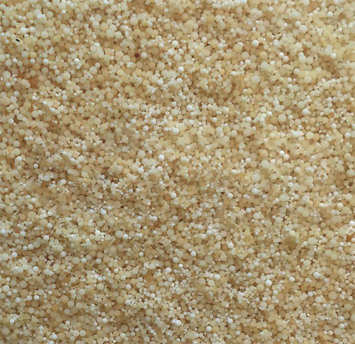 Anion Exchange Resin