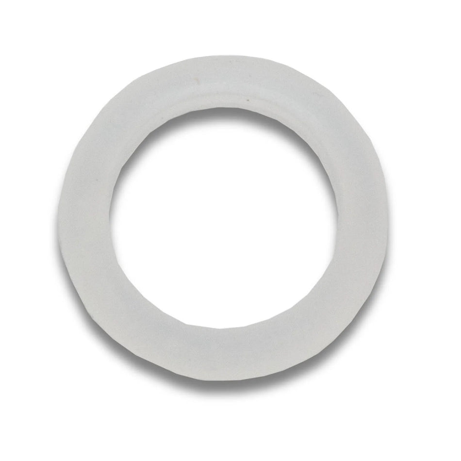 1 GPM UV O-Ring (set of 2)